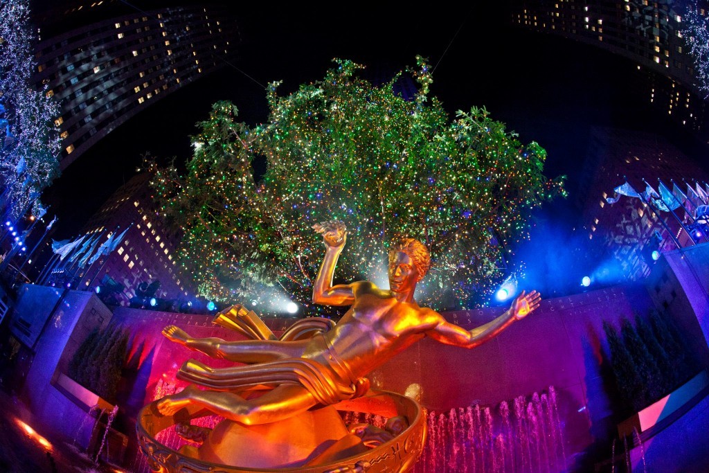 Image:  Anthony Quintano -- Flickr