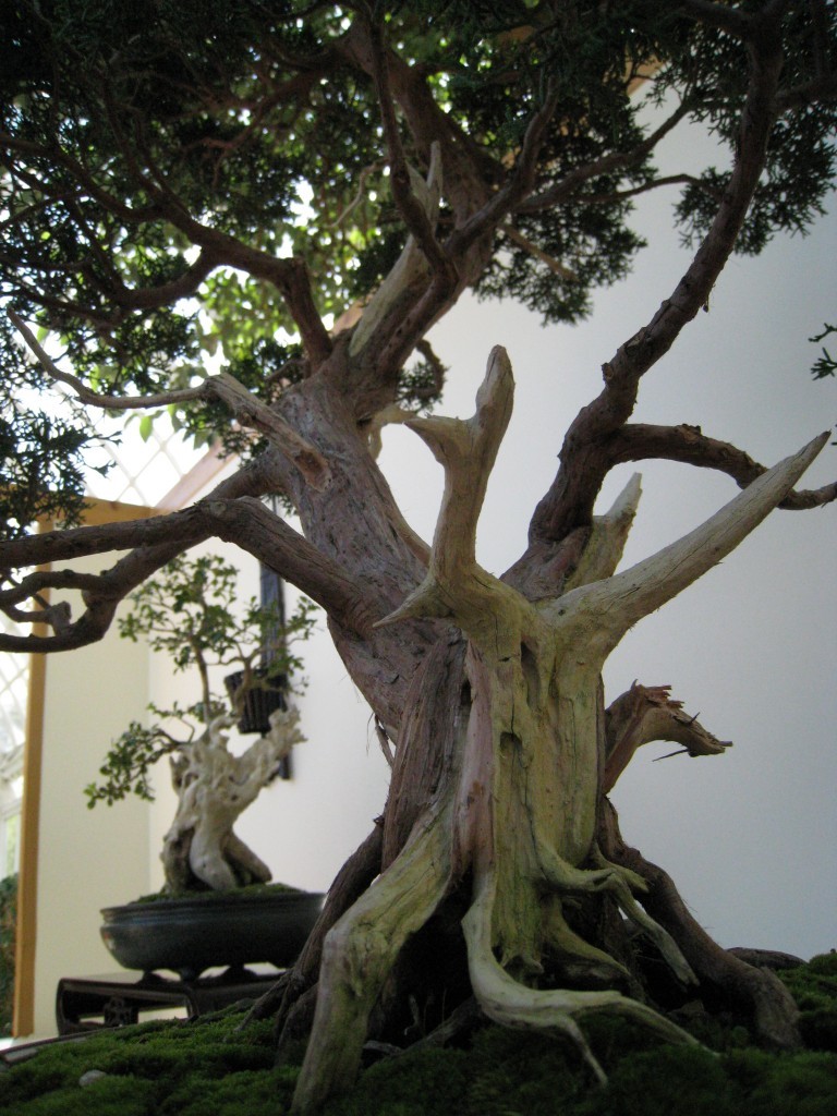 Image: Jennifer Snyder -- Flickr