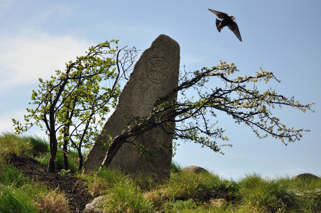 Irish Famine Memorial: Ludovic Bertron -- Flickr