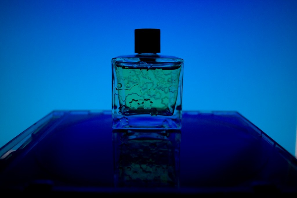 Image: otodo -- Flickr
