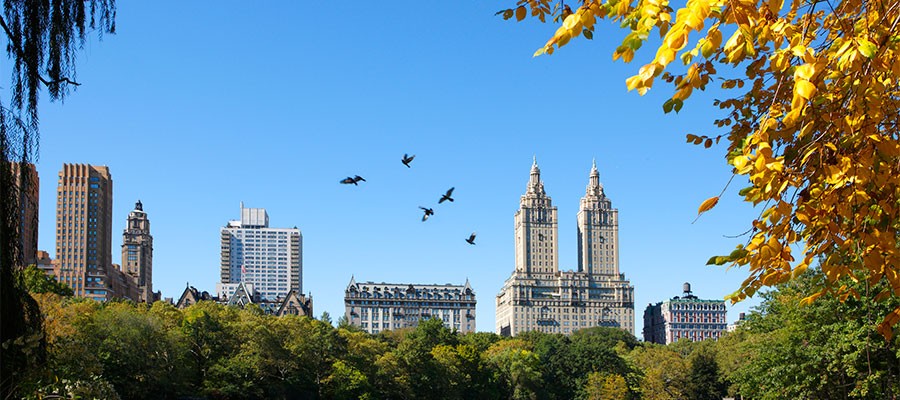 Autumn in New York: Activities for a Cosmopolitan Fall