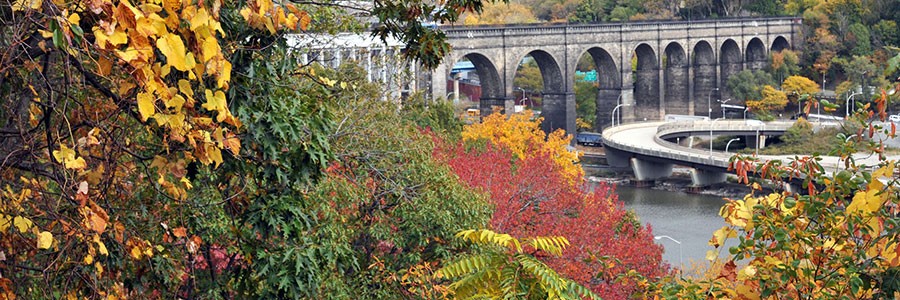 Happy Trails to You: Six Wonderful Walks Around NYC in October