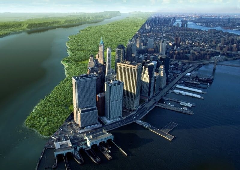 The Best Late Summer Walks and Tours (Virtual and Real) in NYC