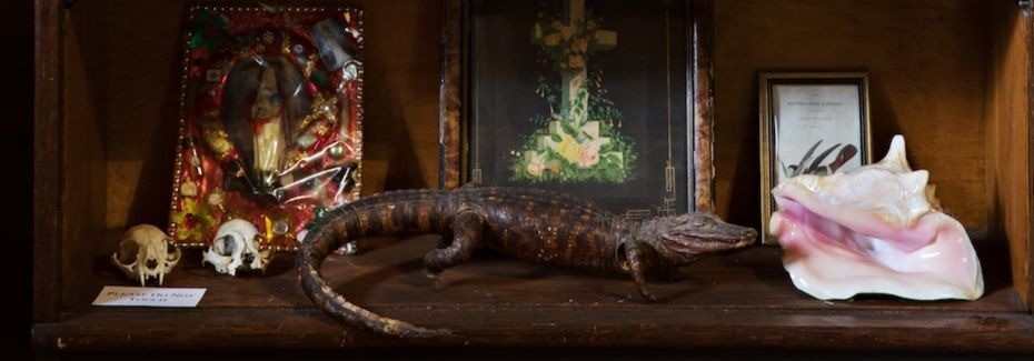 Reborn: The Morbid Anatomy Library and Museum Finds New Life in Green-Wood Cemetery