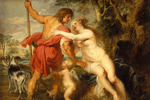Peter Paul Rubens (Flemish, 1577&ndash;1640). Venus and Adonis (detail), mid- or late 1630s. Oil on canvas, with added strips; 77 3/4 x 95 5/8 in. (197.5 x 242.9 cm). The Metropolitan Musuem of Art, New York, Gift of Harry Payne Bingham, 1937 (37.162)