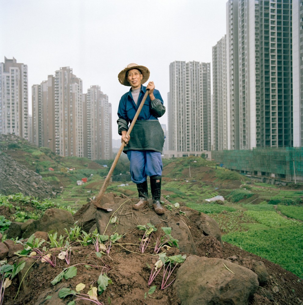 As Jiangbei rises into a forest of high-rises, shopping malls, and elevated roads, lifelong resident Ren Yindi, 66, continues to farm. (Tim Franco)