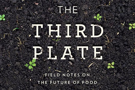 third-plate-450